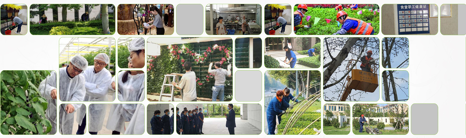 綠植租擺養(yǎng)護和技術團隊